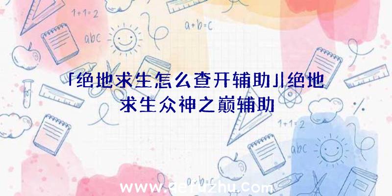 「绝地求生怎么查开辅助」|绝地求生众神之巅辅助